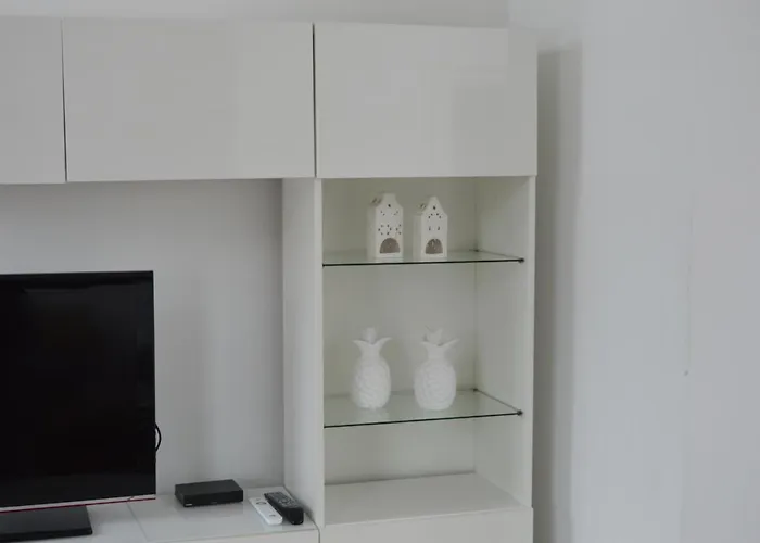 Damaxx * 잔드보르트