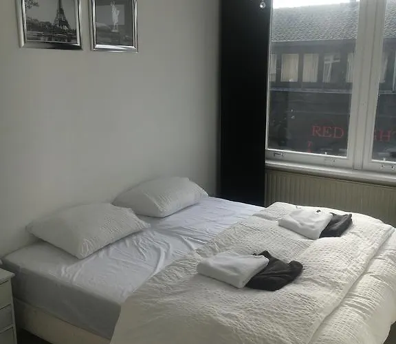 Damaxx 아파트 잔드보르트