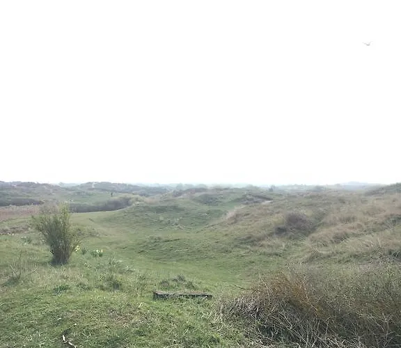 아파트 Damaxx 잔드보르트